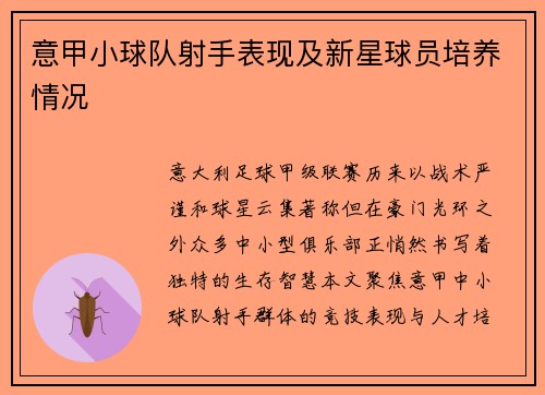 意甲小球队射手表现及新星球员培养情况